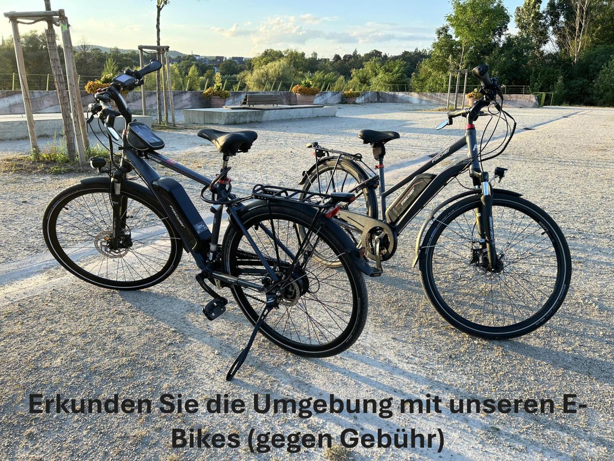 Apartment Grosszuegiges Helles Penthouse -komplette Etage- Mit Balkon Und Stellplatz In Ruhiger Lage